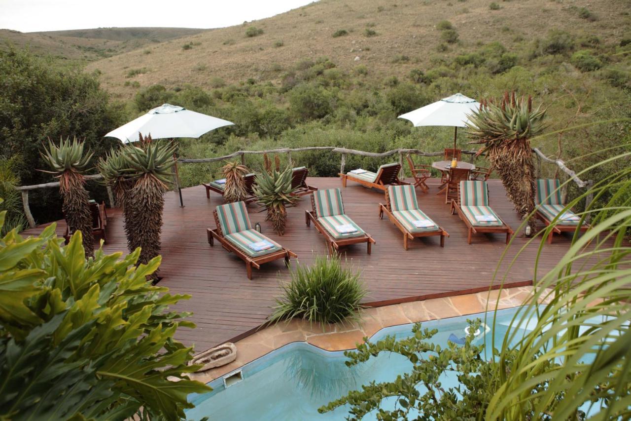Lalibela Game Reserve Lentaba Safari Lodge Paterson Esterno foto