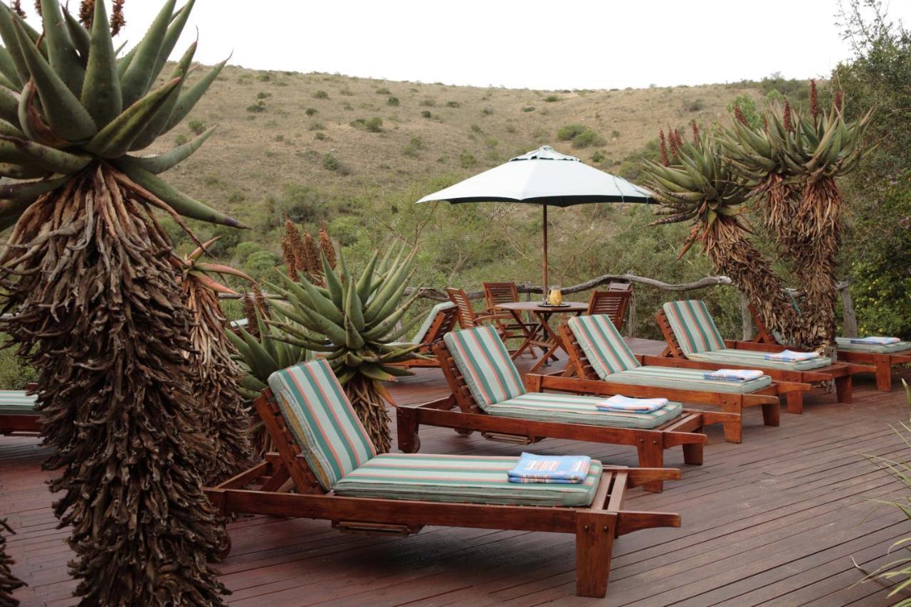 Lalibela Game Reserve Lentaba Safari Lodge Paterson Esterno foto